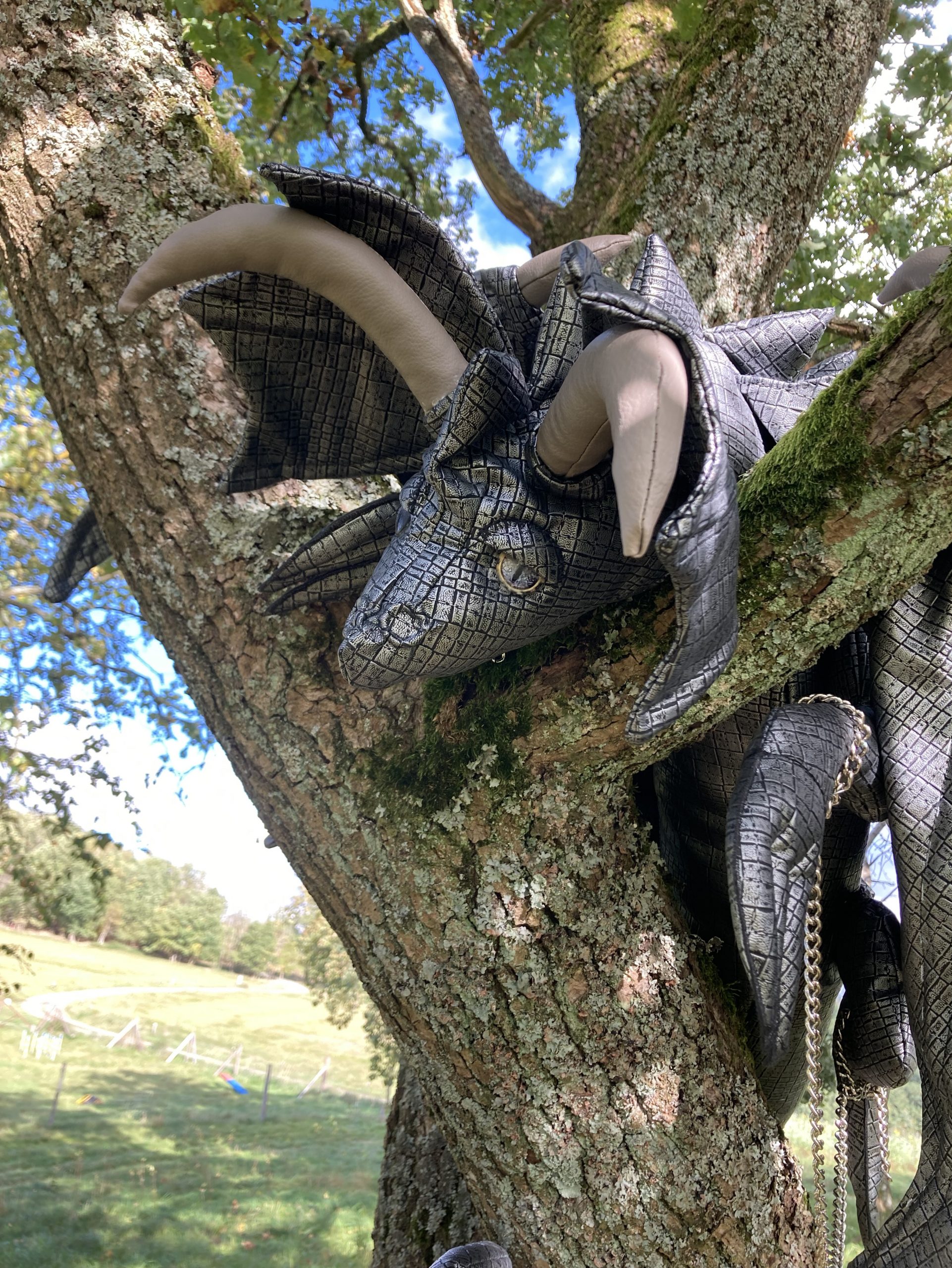 ALMA – mein Drache